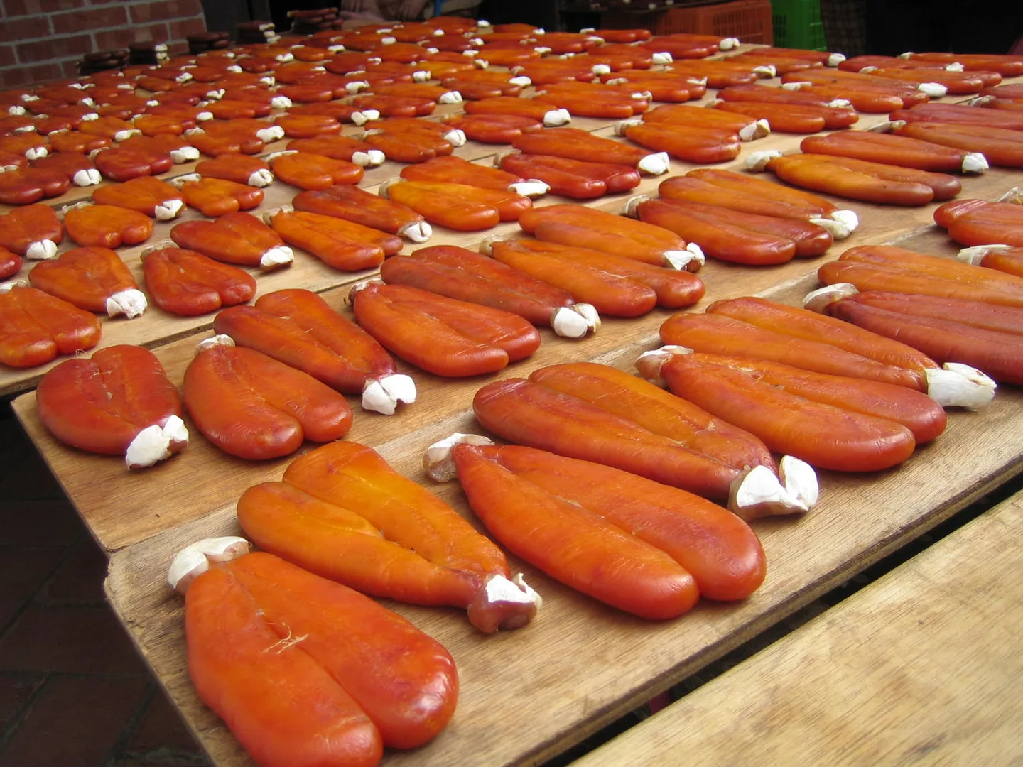 Rogue de poisson préparée pour produire de la poutargue