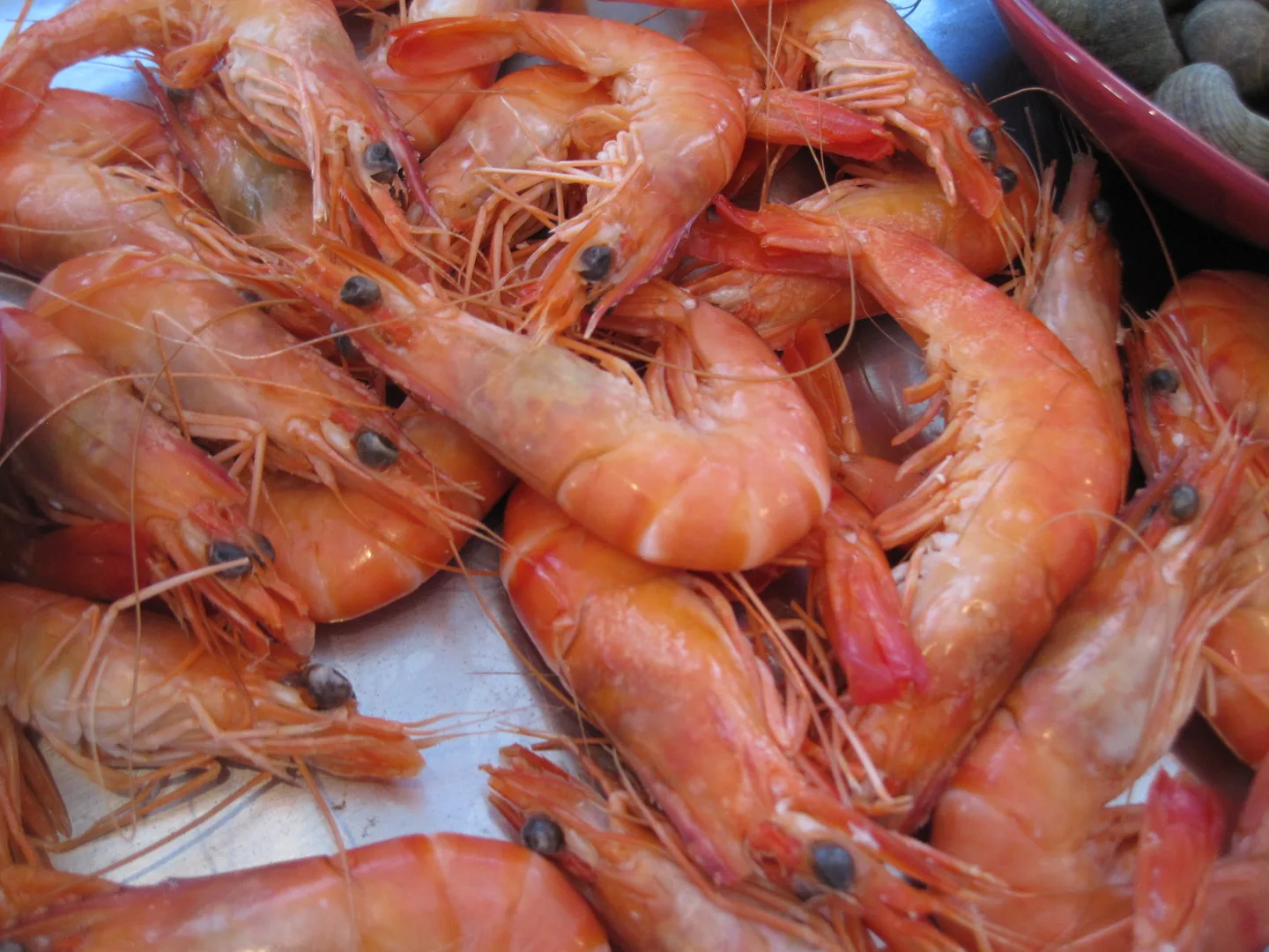Crevettes cuites présentées dans un récipient