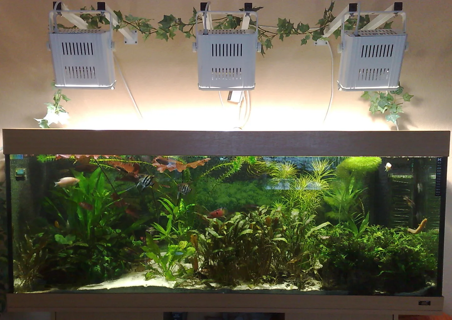 Trois suspensions d’éclairage HQI au-dessus d’un aquarium planté ouvert