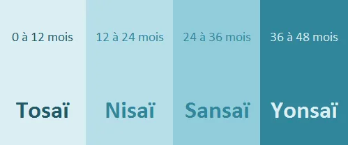 Frise simplifiée des classes d’âge tosaï, nisaï, sansaï et yonsaï chez la carpe koï