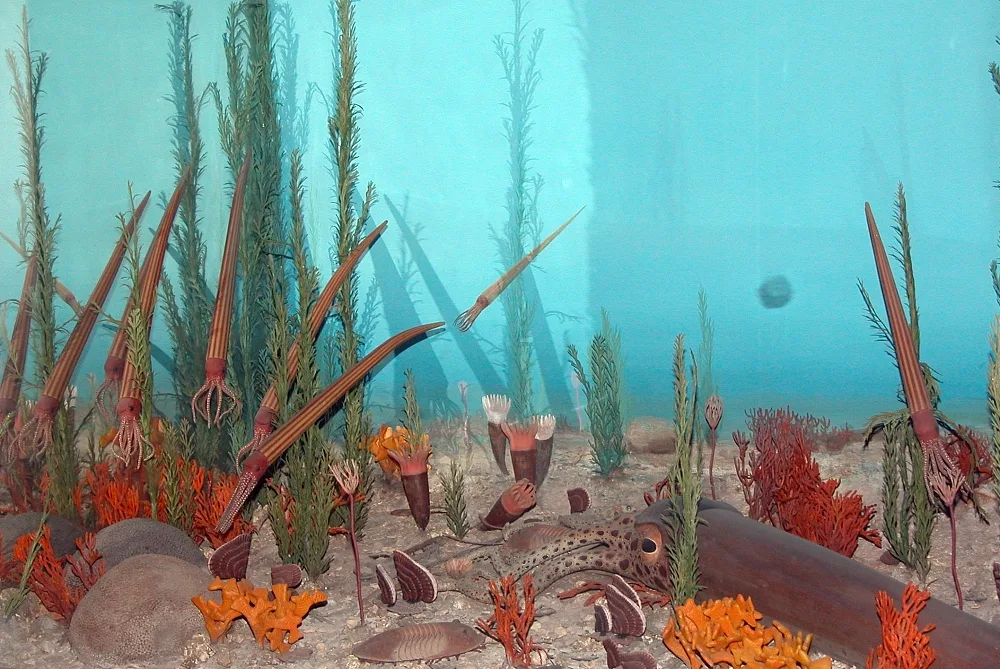 Reconstitution d’un fond marin ordovicien avec céphalopodes, trilobites et organismes fixés