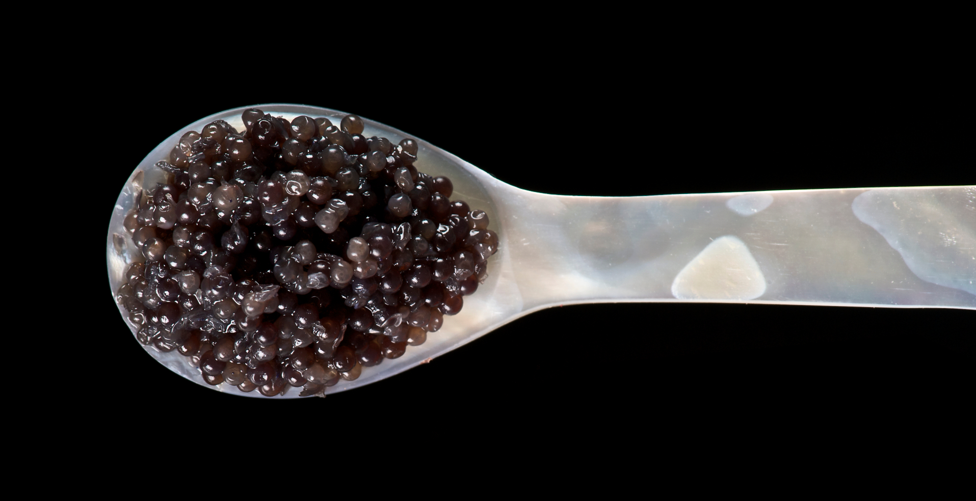 Caviar