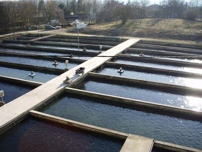 Pisciculture intensive