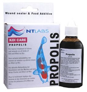 Propolis