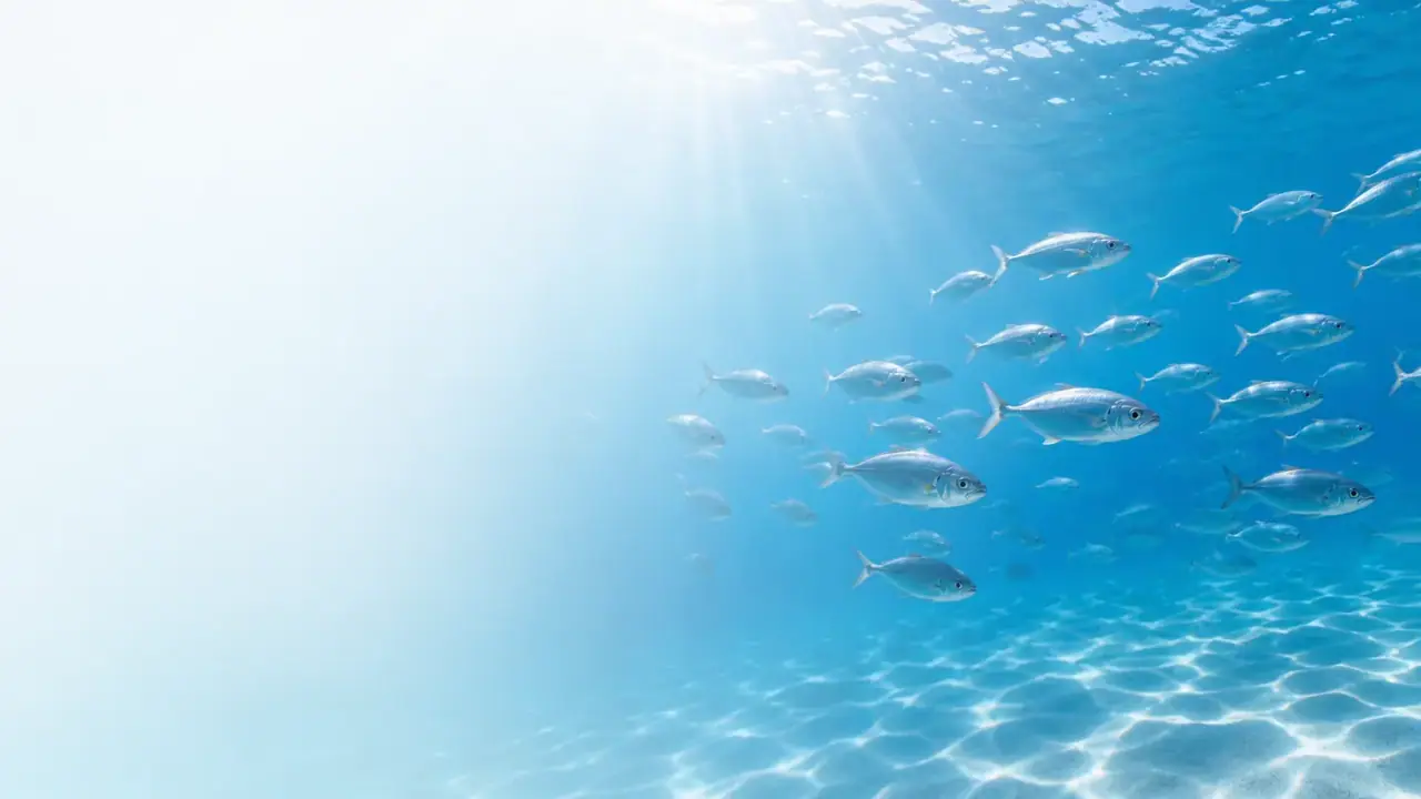 Banc de poissons en milieu aquatique clair