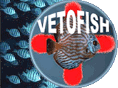 Premier logo Vetofish créé en 2002
