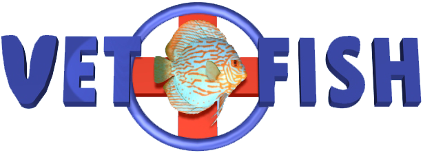 Logo horizontal Vetofish créé en 2006