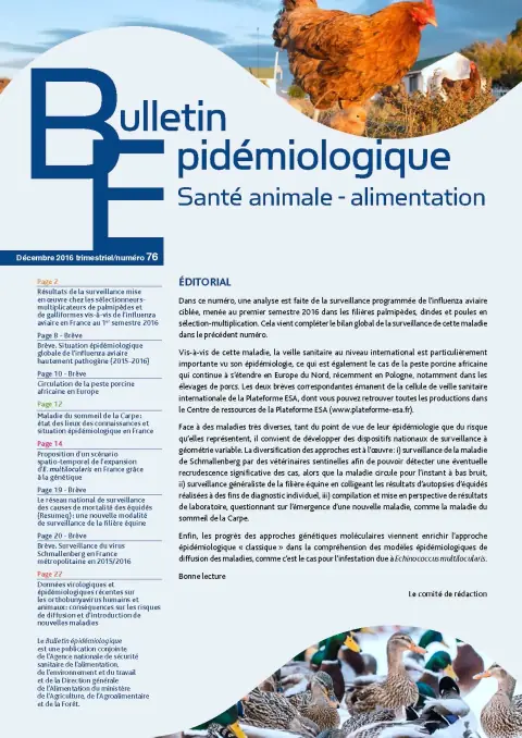 Couverture du Bulletin épidémiologique de l’ANSES