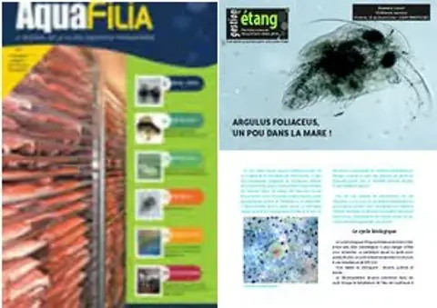 Couverture d’Aquafilia consacrée à Argulus foliaceus