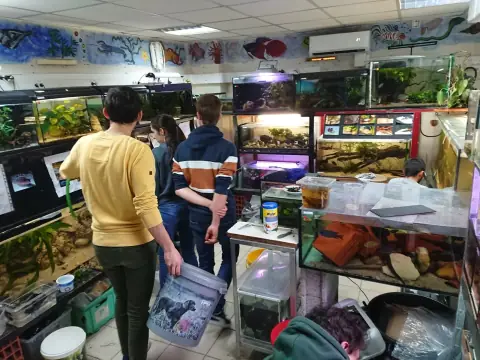 Local du Club Aquario de l’ENVT avec ses aquariums et plusieurs étudiants