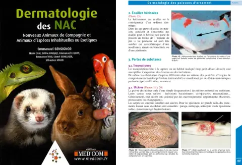 Couverture de l’ouvrage Dermatologie des NAC