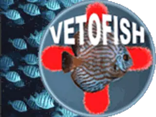 Premier logo Vetofish créé en 2002