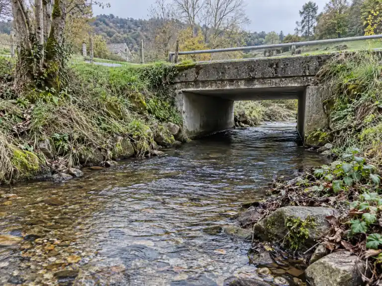 Buses routières : ralentir l’eau suffit-il aux poissons ?