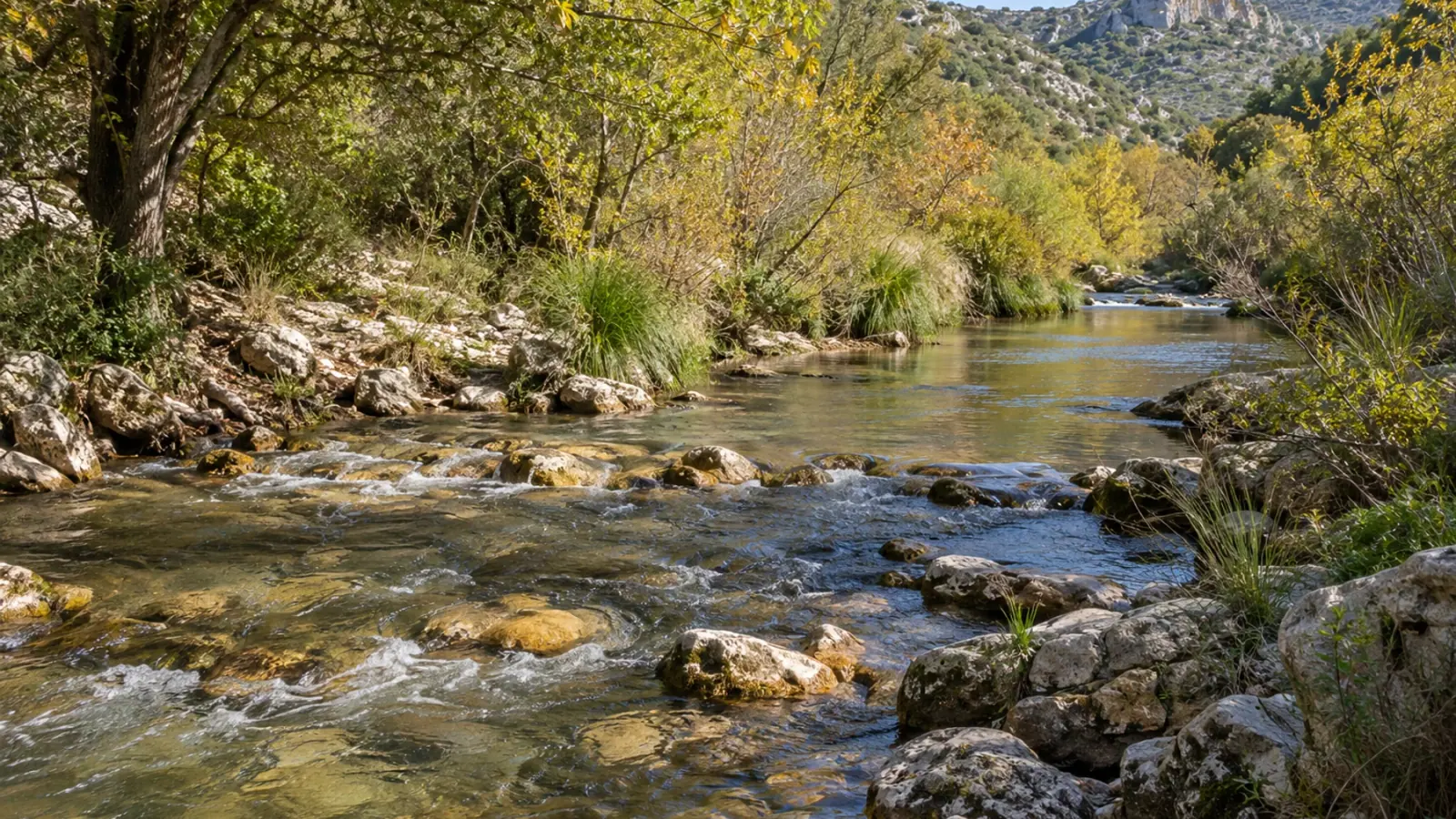Cours d’eau méditerranéen avec galets, zones courantes et végétation de berge.