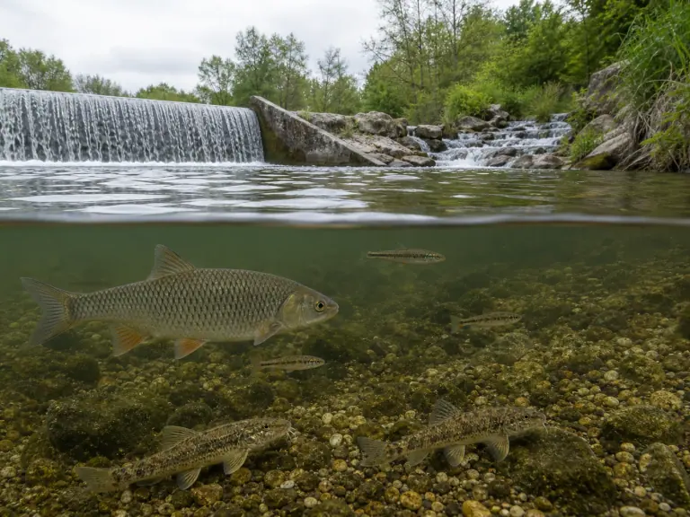 Petits barrages : la hauteur ne dit pas tout