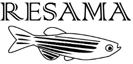 Logo RESAMA