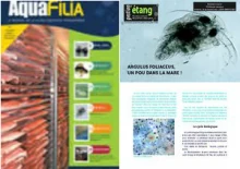 Couverture d’Aquafilia consacrée à Argulus foliaceus