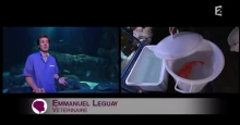 Passage de Vetofish dans l’émission C’est au programme sur France 2