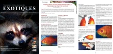 Pratique des Animaux Sauvages & Exotiques - Volume 10.4