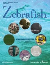 Zebrafish revue